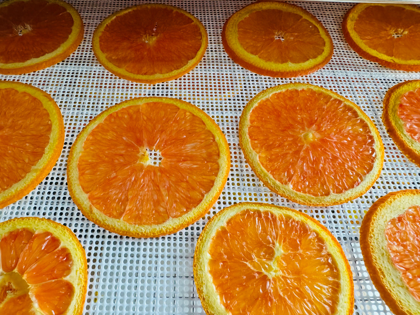 Dried Cara Cara Orange Slices